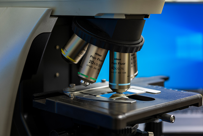 Genotoxicity study