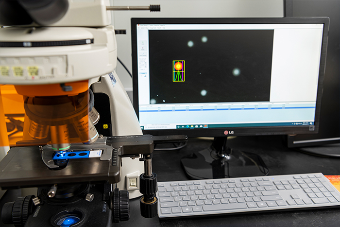 Genotoxicity study